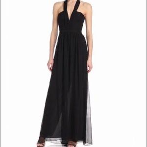 BCBG Chiffon Long Dress